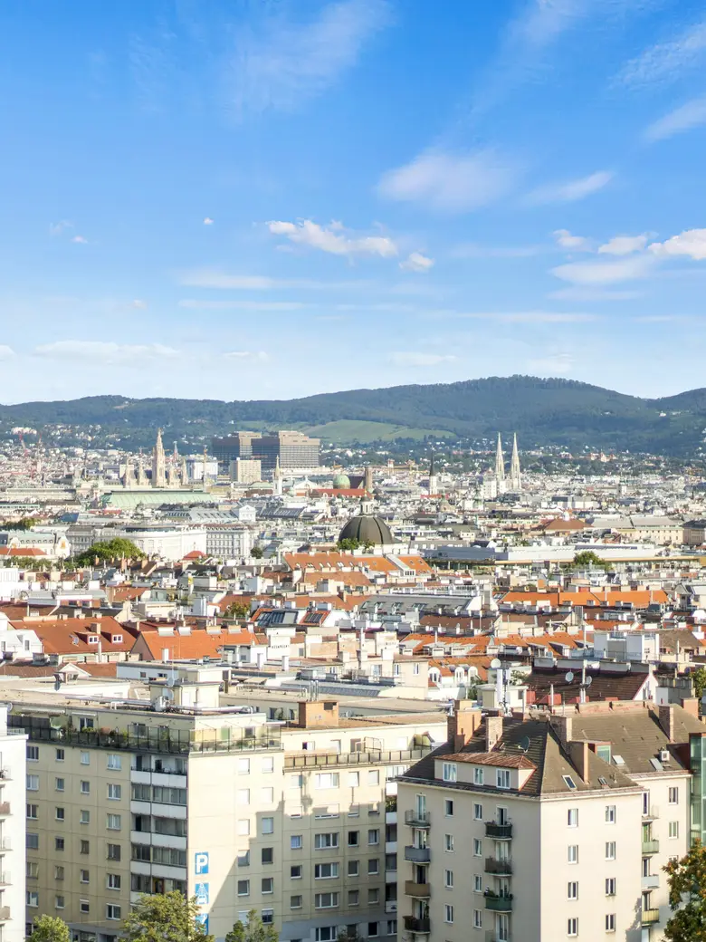 Panorama über die Dächer von Wien